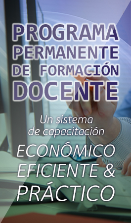 Formacin docente