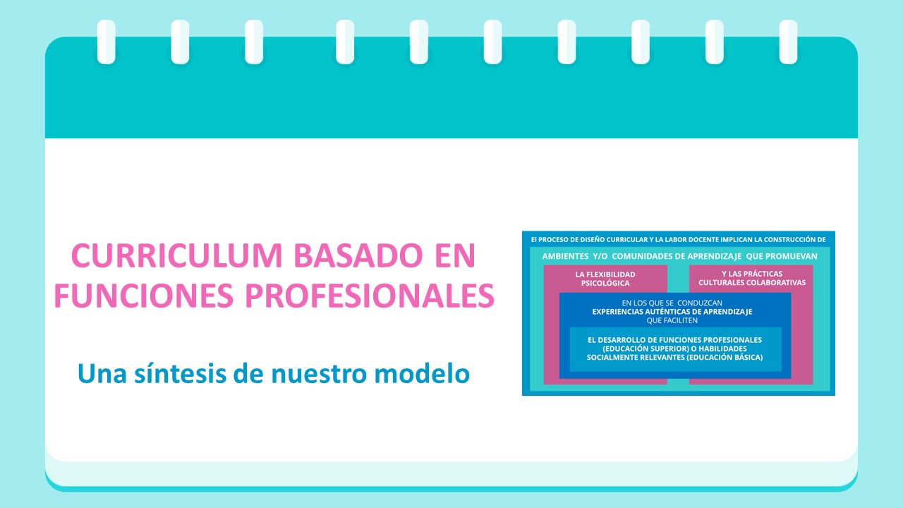 modelo_diseno_curricular_funciones_profesionales.png